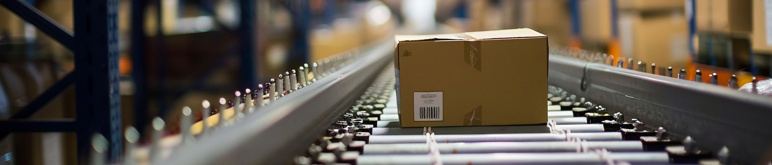 Software custom per la supply chain: superare i gestionali standard